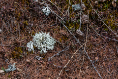 DSC_5773