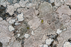 DSC_5807