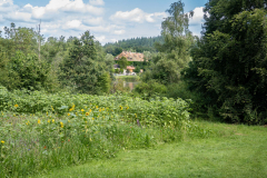 Affenberg-0921