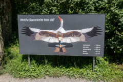 Affenberg-0942