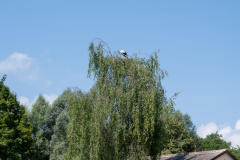 Affenberg-0944