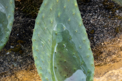 ZFC_5458