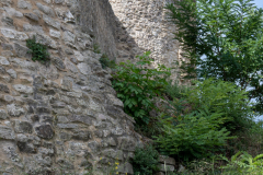 ZFC_5486