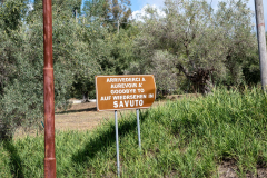 ZFC_5495