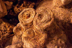 ZFC_2691-Verbessert-RR