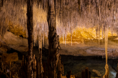ZFC_2736-Pano