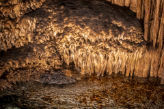 ZFC_2767