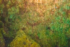ZFC_2774