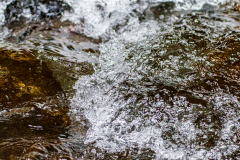 DSC_5939-2