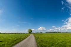 ZFC_3143-Pano