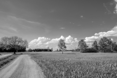 ZFC_3172-2