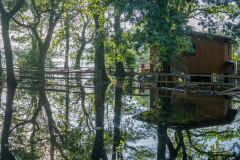 Rheinholz-0659-Pano
