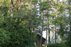 Rheinholz-0669