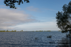 Rheinholz-0671