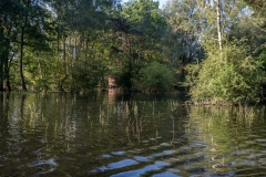 Rheinholz-0672