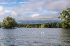 Rheinholz-0700