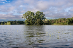 Rheinholz-0705