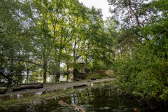 Rheinholz-0733