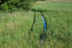 Rheinholz-0752