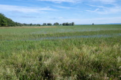 Rheinholz-0754