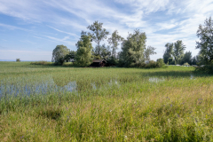Rheinholz-0755