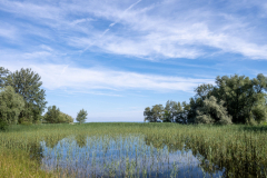 Rheinholz-0759