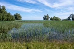Rheinholz-0760