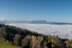 Pfaender-1462-Pano