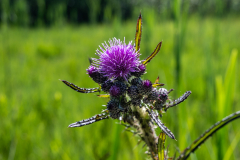 Landschaft-0569