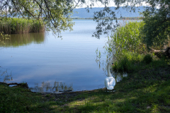Landschaft-0580