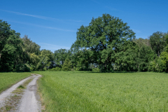 Landschaft-0581