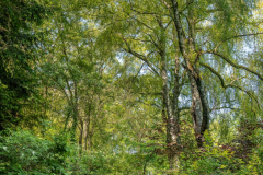 Landschaft-0582-Pano