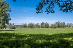Landschaft-0587