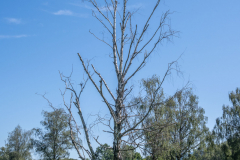 Landschaft-0606