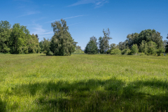 Landschaft-0607