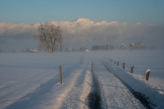 Schnee-9915