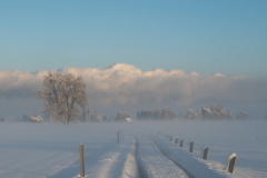 Schnee-9916
