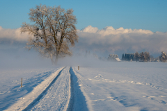Schnee-9922