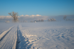 Schnee-9927