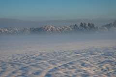 Schnee-9928