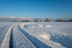 Schnee-9936