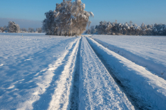 Schnee-9940