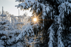 Schnee-9946
