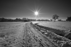 Schnee-9951