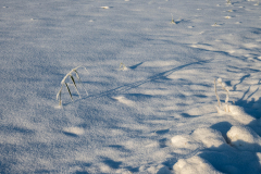 Schnee-9954