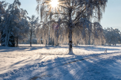 Schnee-9955
