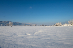 Schnee-9958