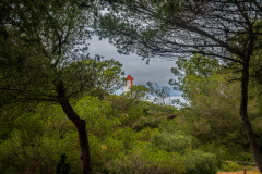 ZFC_2984
