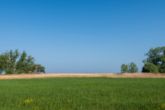 ZFC_7346