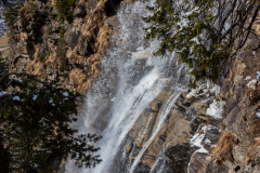 DSC_5977